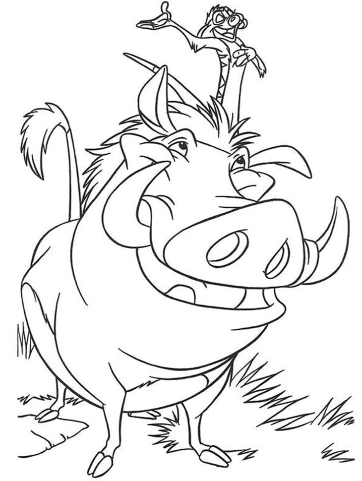 timon đứng trên người pumbaa