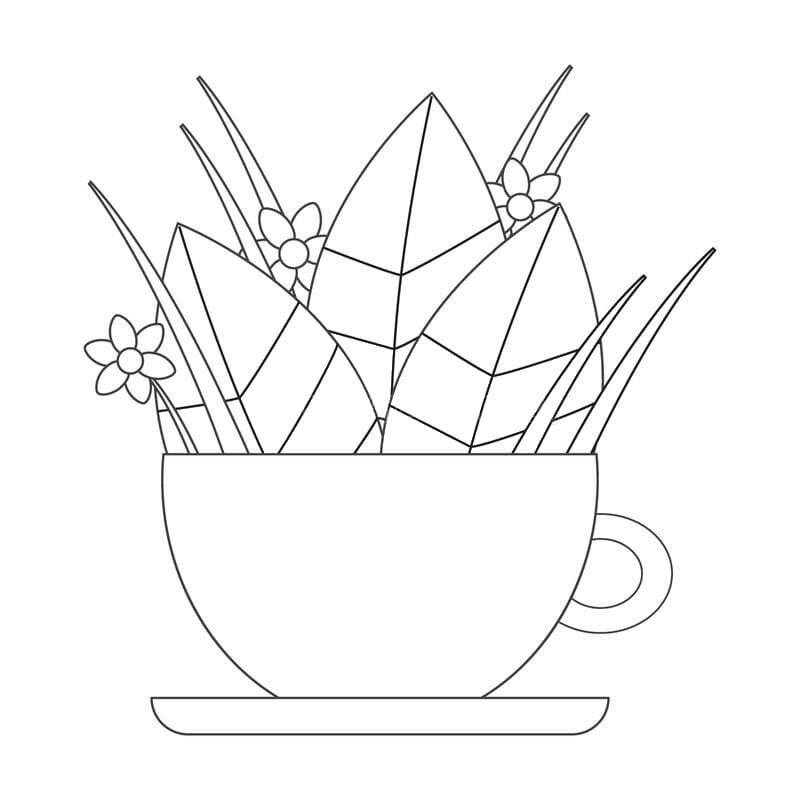 T M u C i C c p Nh t Trang T M u Cho B T M u C i C c p Nh t Trang T M u Cho B