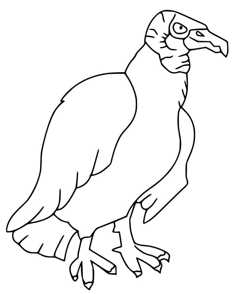 Chim Kền Kền Lớn