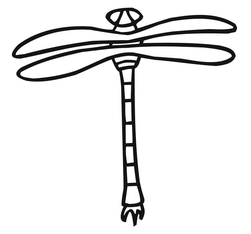 Chuồn Chuồn Đơn Giản