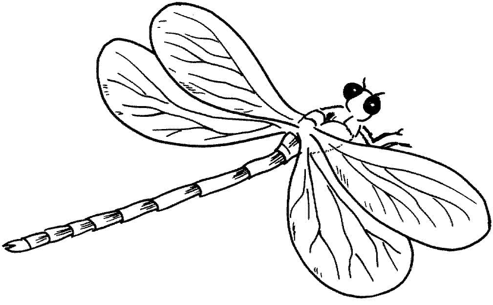 Chuồn Chuồn