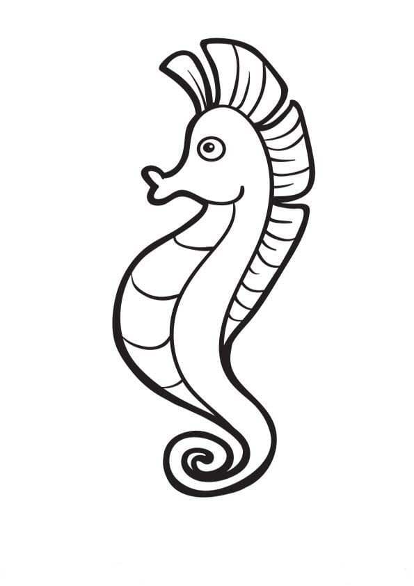 Con Cá Ngựa Đẹp