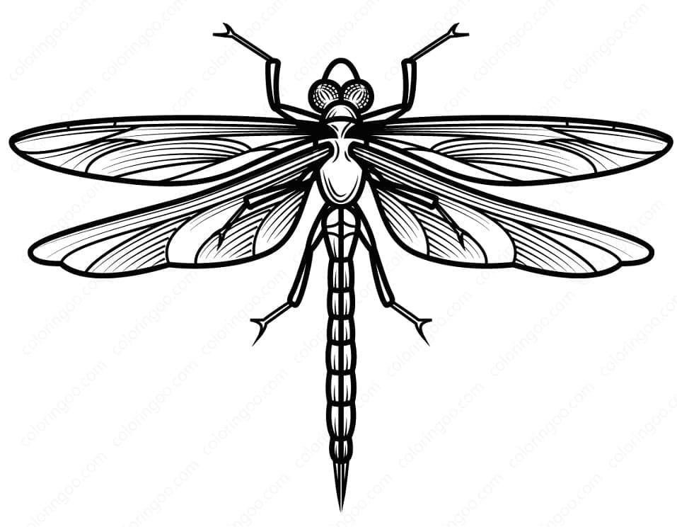 Con Chuồn Chuồn Miễn Phí