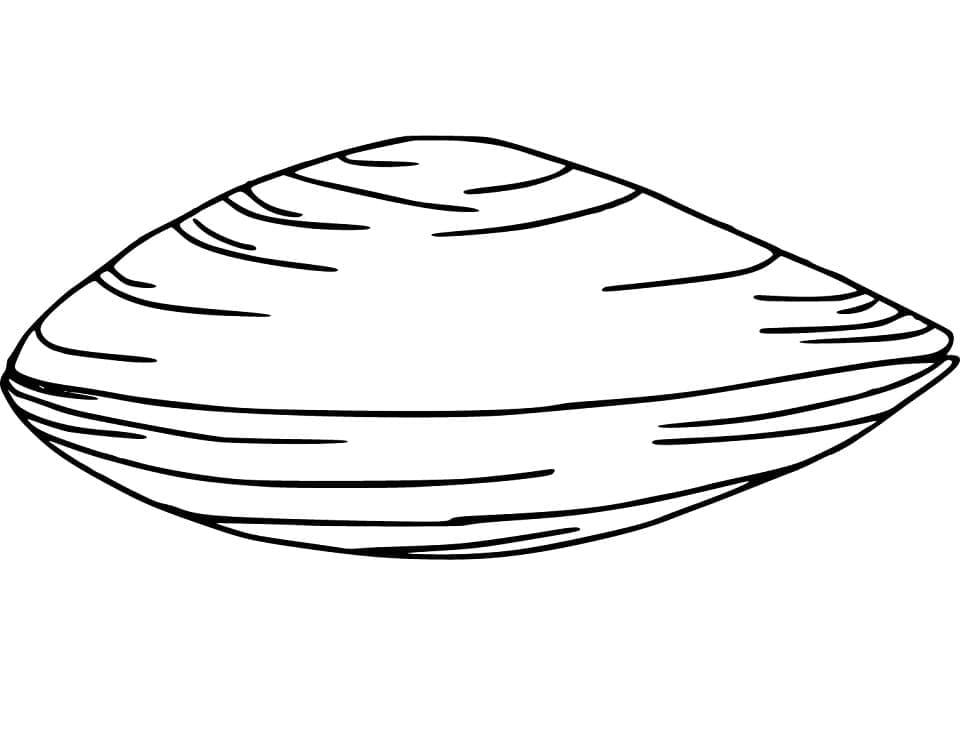 Con Sò