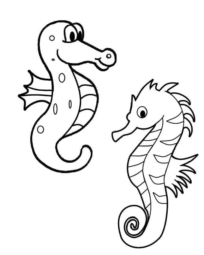 Hai Con Cá Ngựa