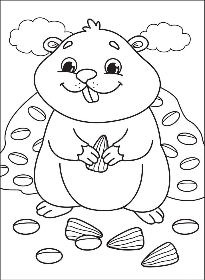 Hamster Mỉm Cười
