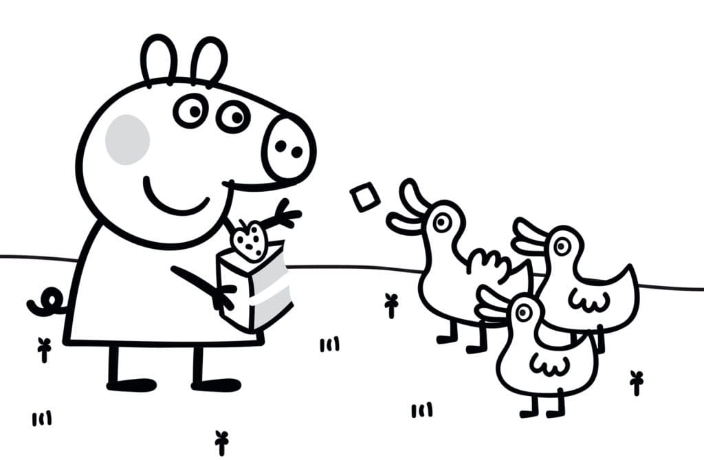 Heo Peppa và Đàn Vịt