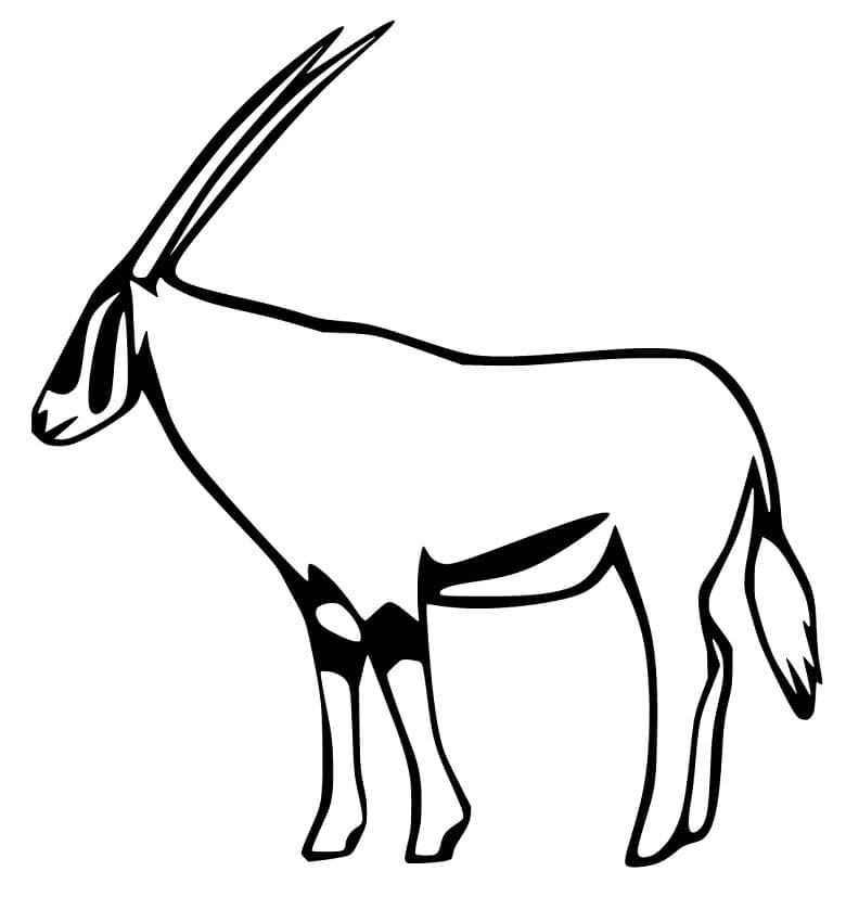 Hình Ảnh Con Linh Dương