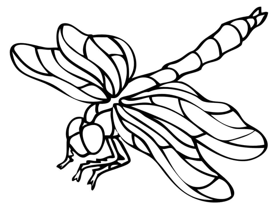 Một Con Chuồn Chuồn