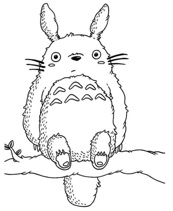 Totoro Xinh Xắn